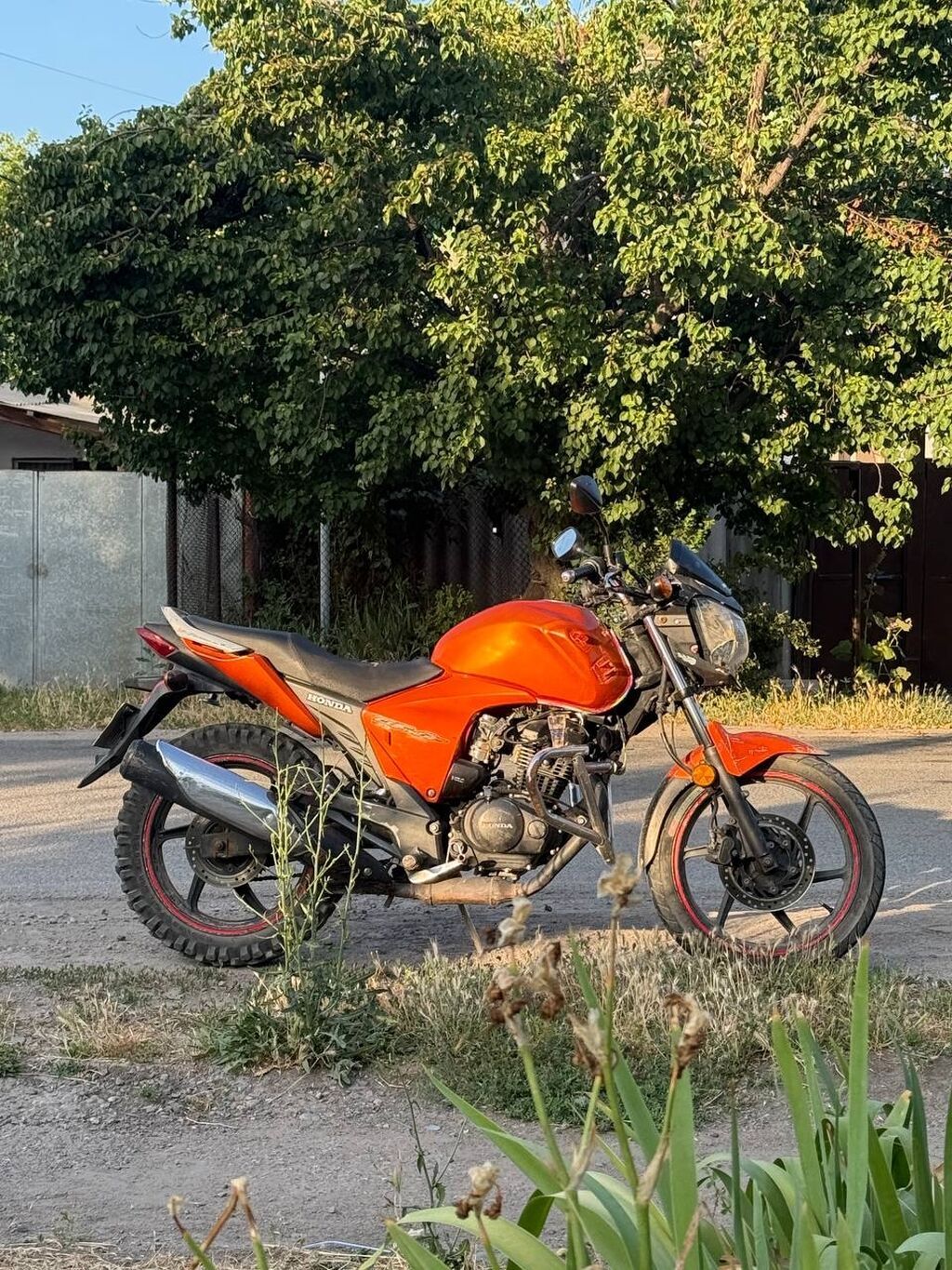 Honda CB150F, оранжевый дорожный мотоцикл Описание и особенности: -: фото 3