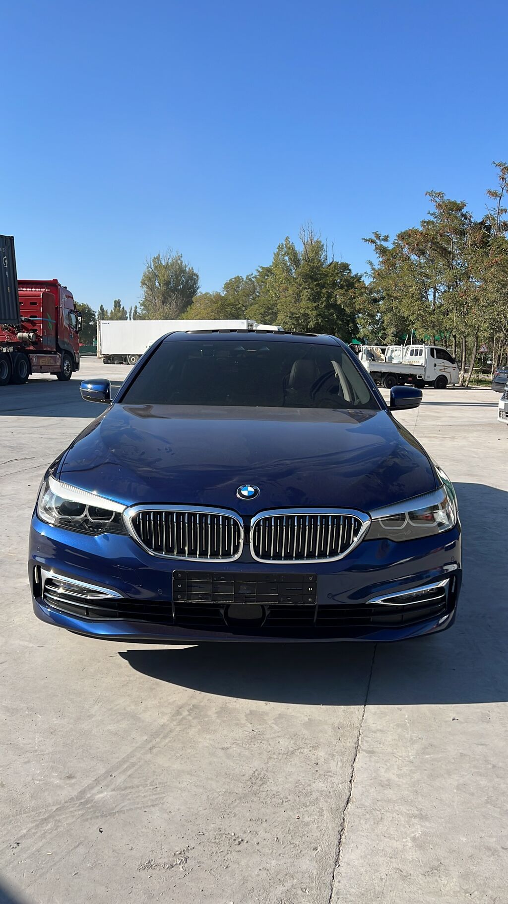 BMW 5 series: 2019 г., 2 л, Автомат, Бензин, Седан: фото 8