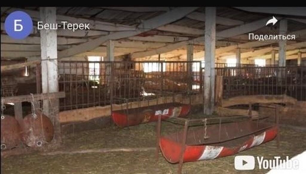 Продаю кошару. Расположена в Московском районе, село Беш Терек