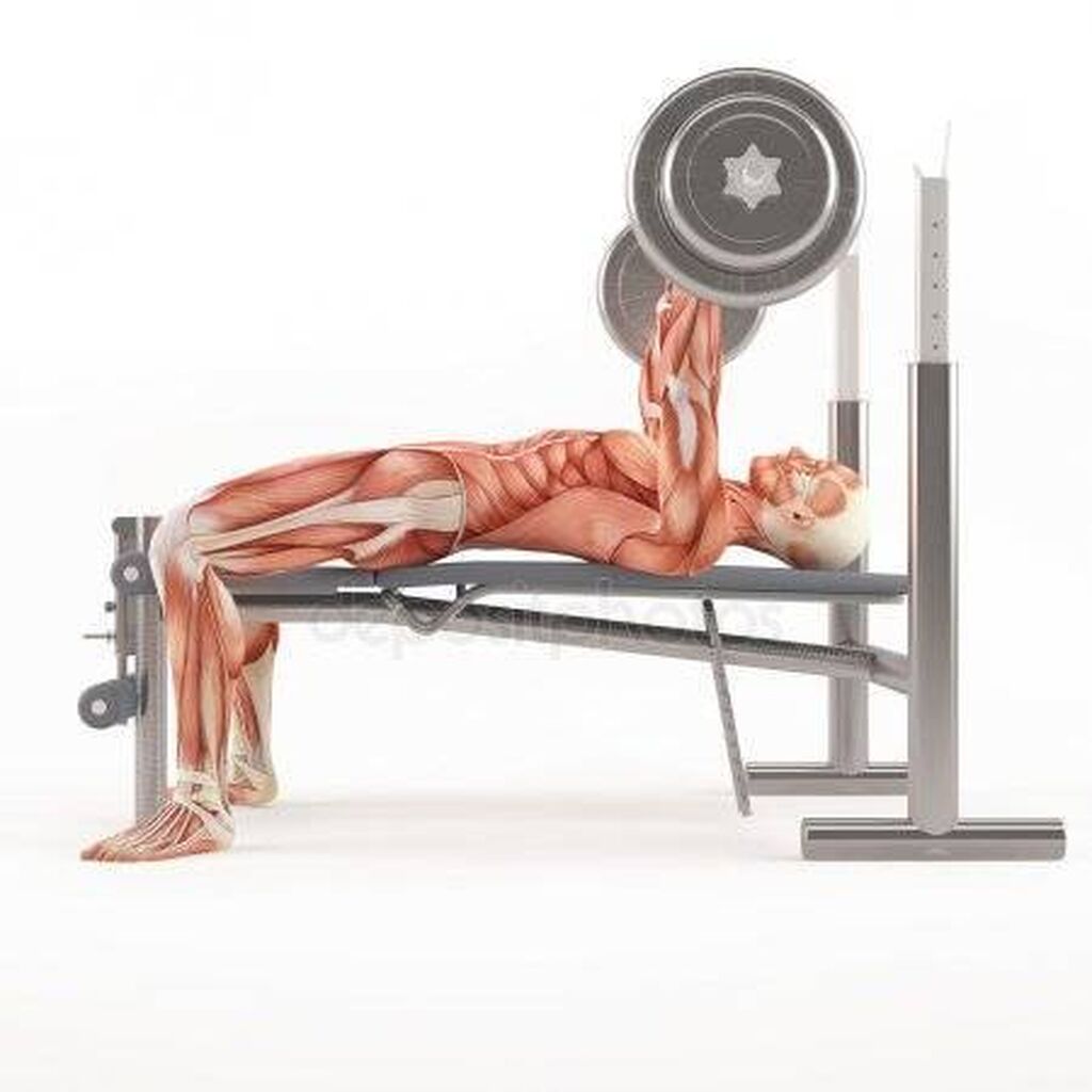Стойка лежа. Регулируемая скамья для жима. Barbell Bench Press. Incline Smith Bench Press and Incline Barbell Bench Press.