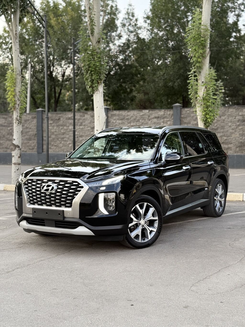 Hyundai Palisade: 2019 г., 2.2 л, Автомат, Дизель, Внедорожник: фото 2