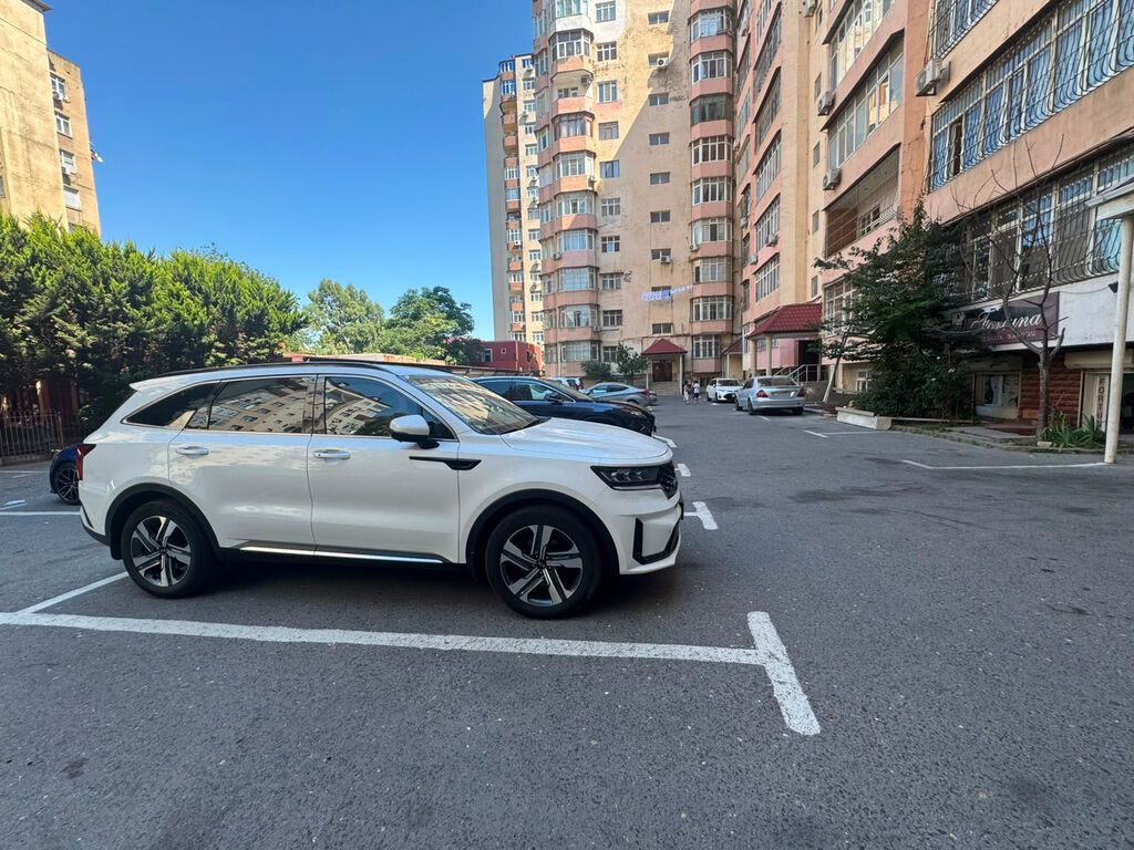 4 otaqlı, Yeni tikili, 224 kv. m