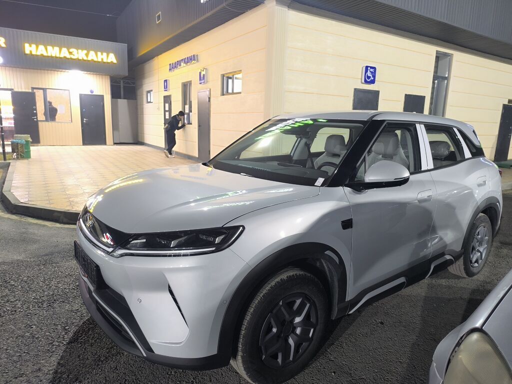 BYD Yuan Up: 2025 г., Электромобиль, Кроссовер: фото 2