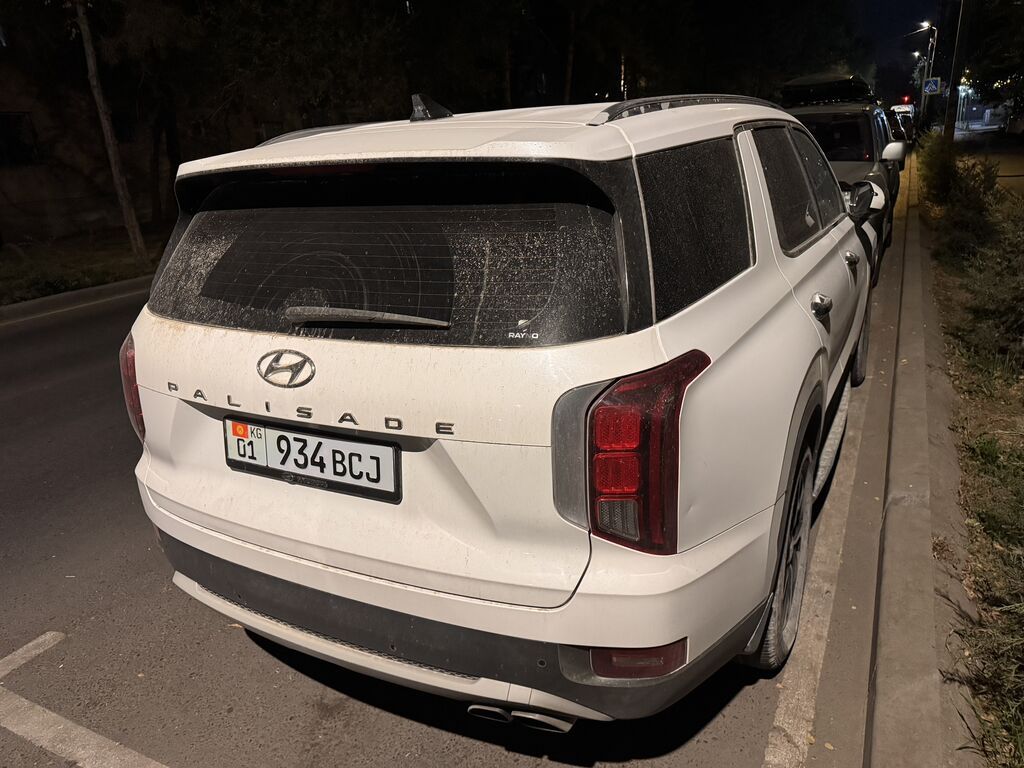 Hyundai Palisade: 2019 г., 2.2 л, Автомат, Дизель: фото 4