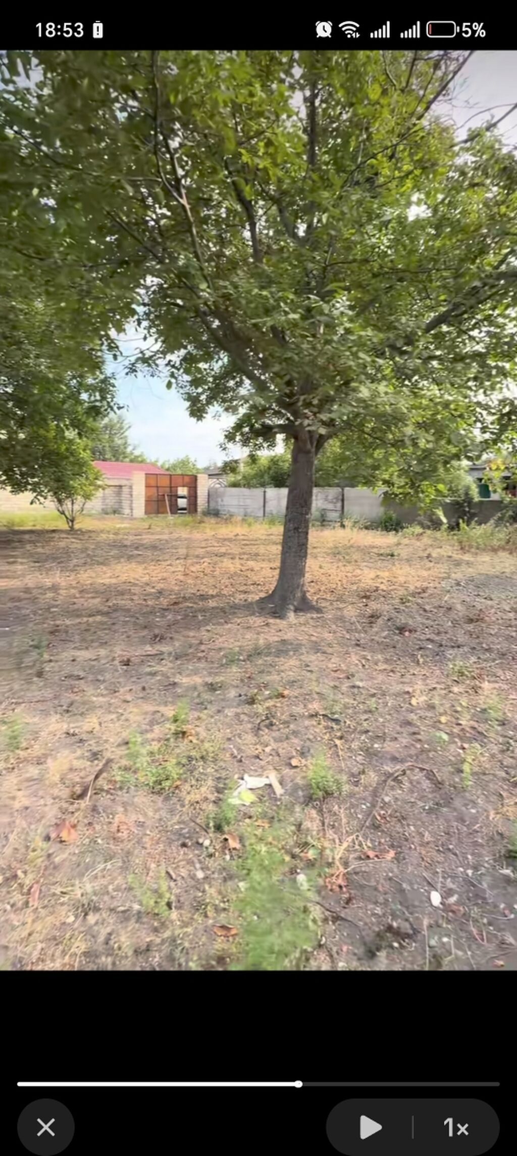 10 sot, Tikinti, Barter mümkündür, Kupça (Çıxarış)