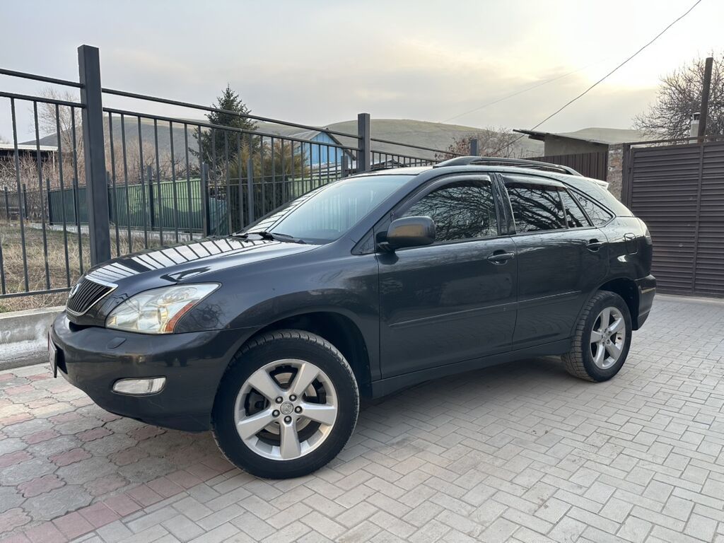 Lexus RX 2: 2003 г., 3.3 л, Автомат, Газ, Кроссовер: фото 6