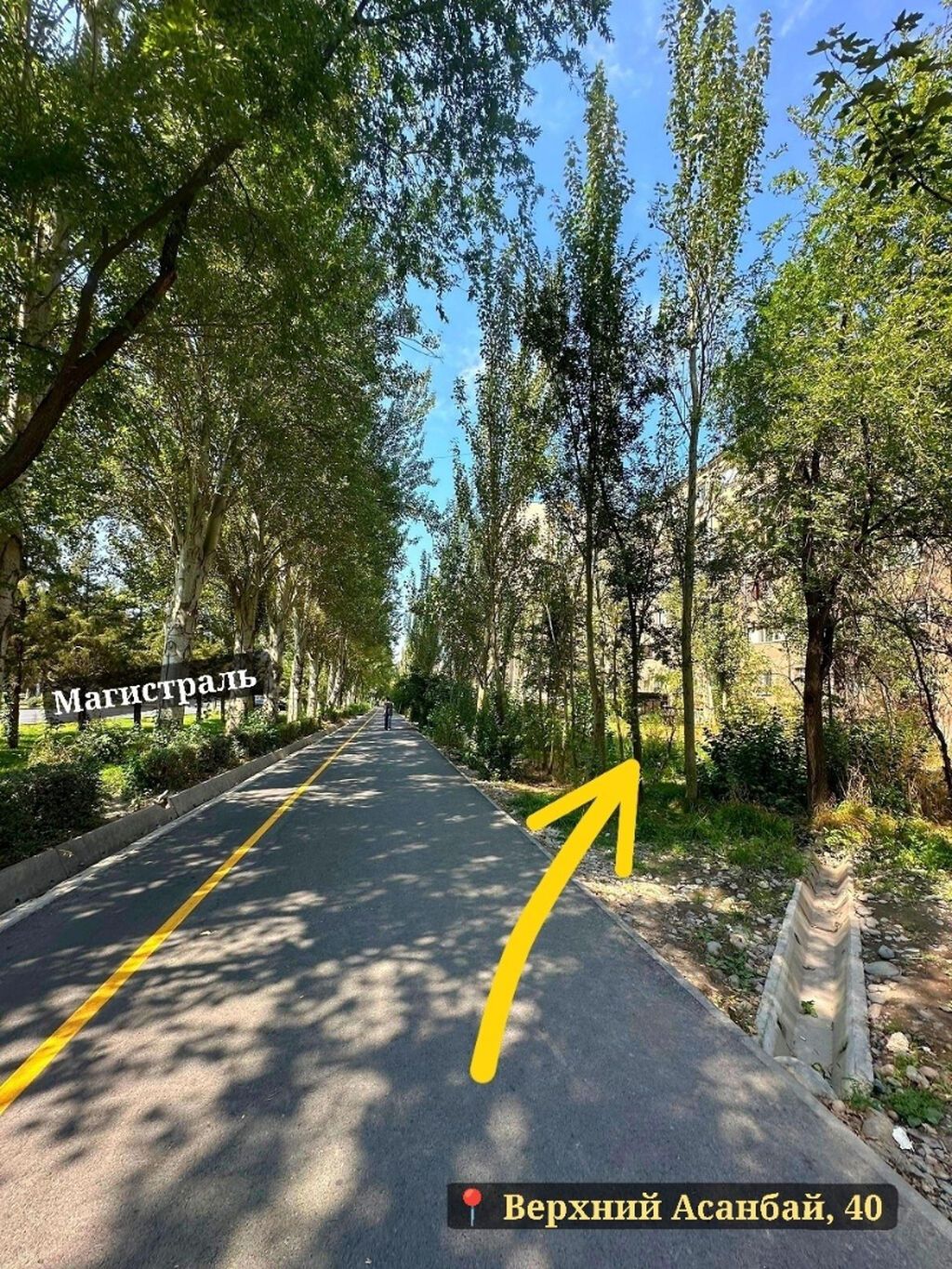 1 комната, 43 м², Асанбай мкр Индивидуалка, 4 этаж, Требуется ремонт: фото 8