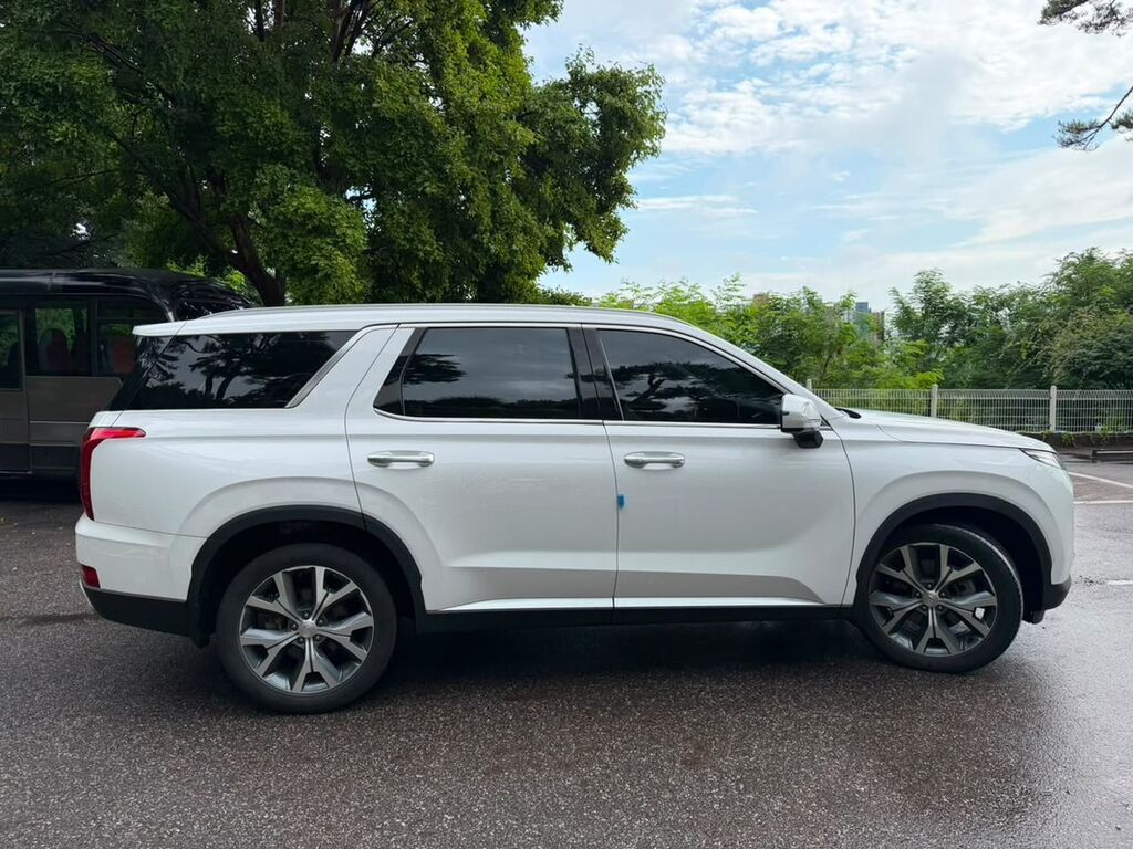 Hyundai Palisade: 2020 г., 2.2 л, Автомат, Дизель, Кроссовер: фото 8