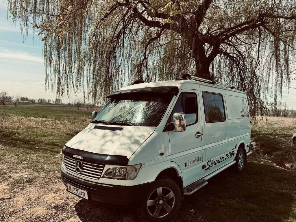 Mercedes-Benz Спринтер: 1997 г., 2.9 л, Дизель, Фургон: фото 4