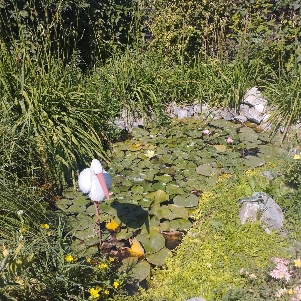 Продается дом с участком и баней, село пригородное Пригородное: фото 7