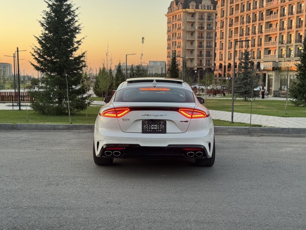 Kia Stinger: 2019 г., 2 л, Автомат, Бензин, Фастбек: фото 6