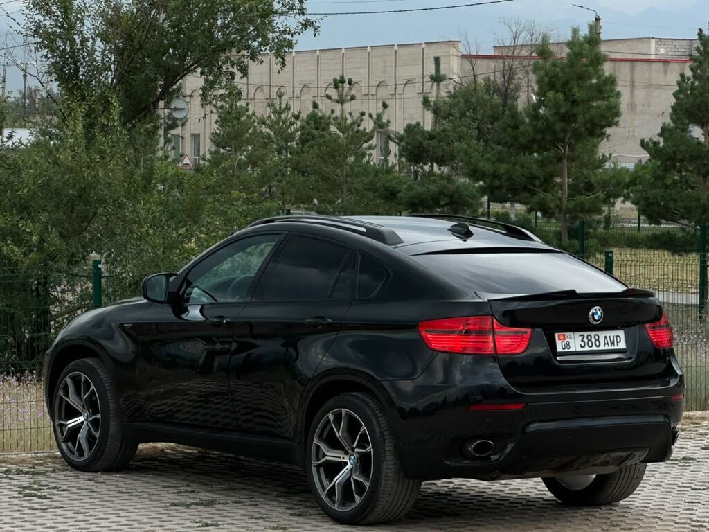 BMW X6: 2009 г., 3 л, Автомат, Бензин, Кроссовер: фото 5