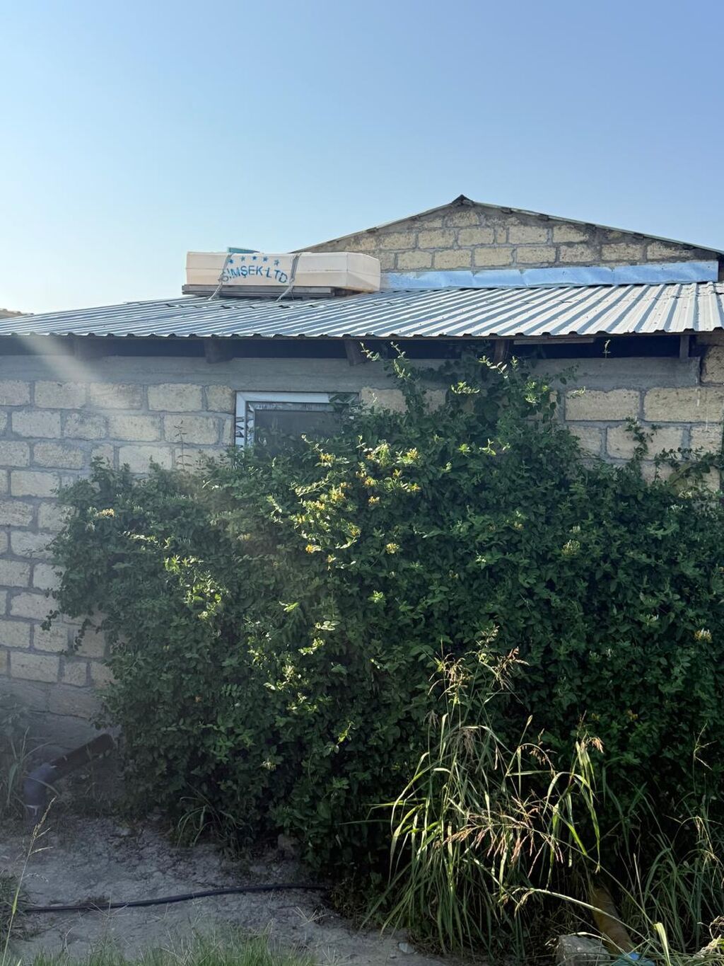 Xaçmaz rayon yergüc kəndində 4 hektar intensiv bag satılır. Gölü var