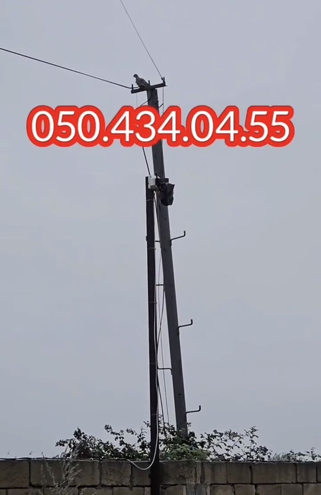 15 otaq, 1000 kv. m, Kredit yoxdur, Təmirsiz