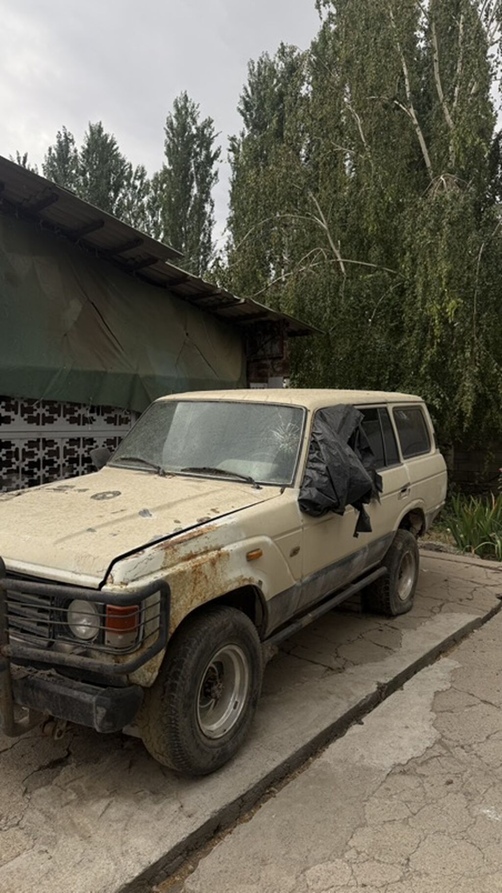 Toyota Land Cruiser: 1987 г., 4.2 л, Внедорожник: фото 3