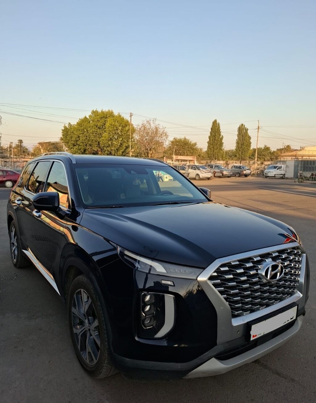 Hyundai Palisade: 2020 г., Дизель, Кроссовер: фото 4