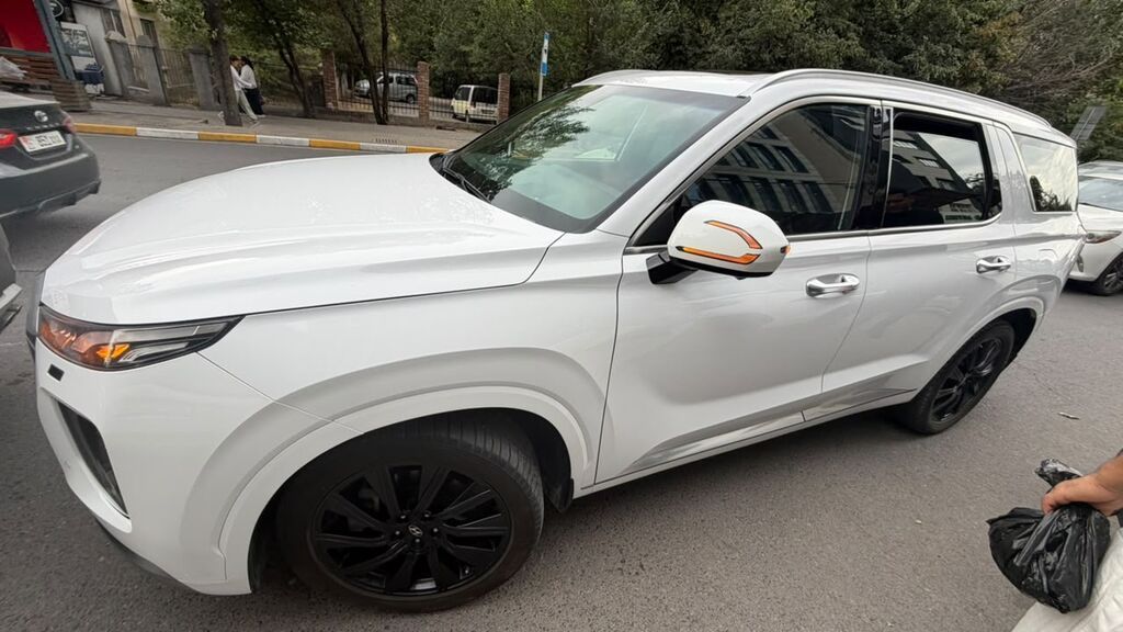 Hyundai Palisade: 2022 г., 2.2 л, Автомат, Дизель, Кроссовер: фото 3