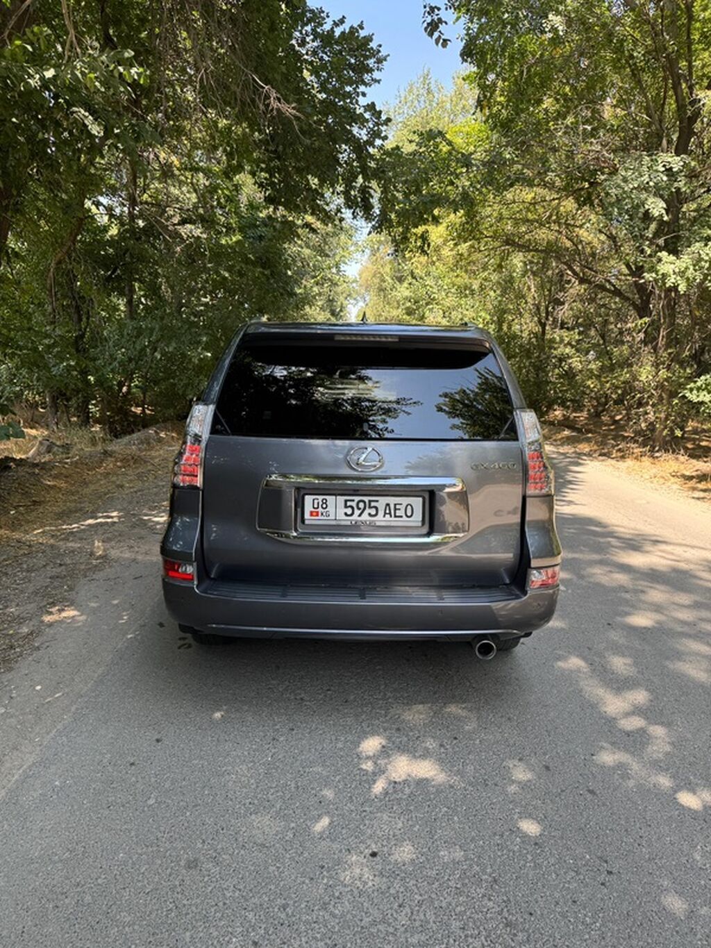 Lexus GX: 2019 г., 4.6 л, Автомат, Бензин, Внедорожник: фото 5