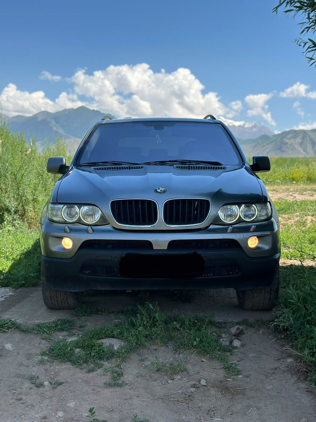 BMW X5: 2004 г., 3 л, Автомат, Дизель, Кроссовер: фото 5