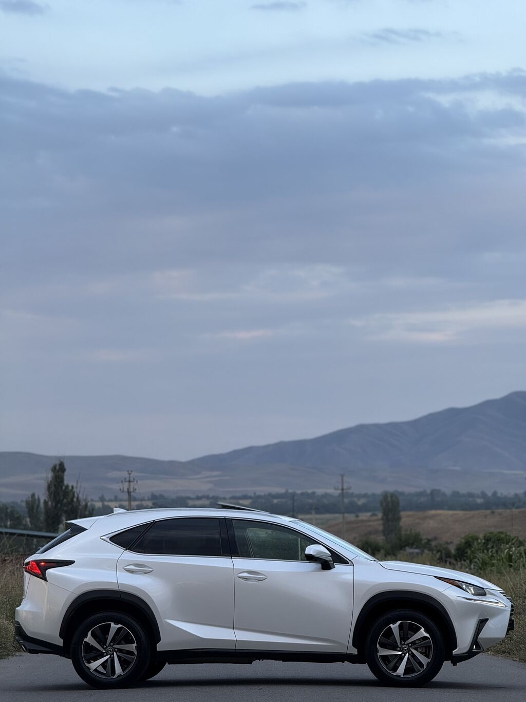 Lexus NX: 2020 г., 2 л, Автомат, Бензин, Кроссовер: фото 5