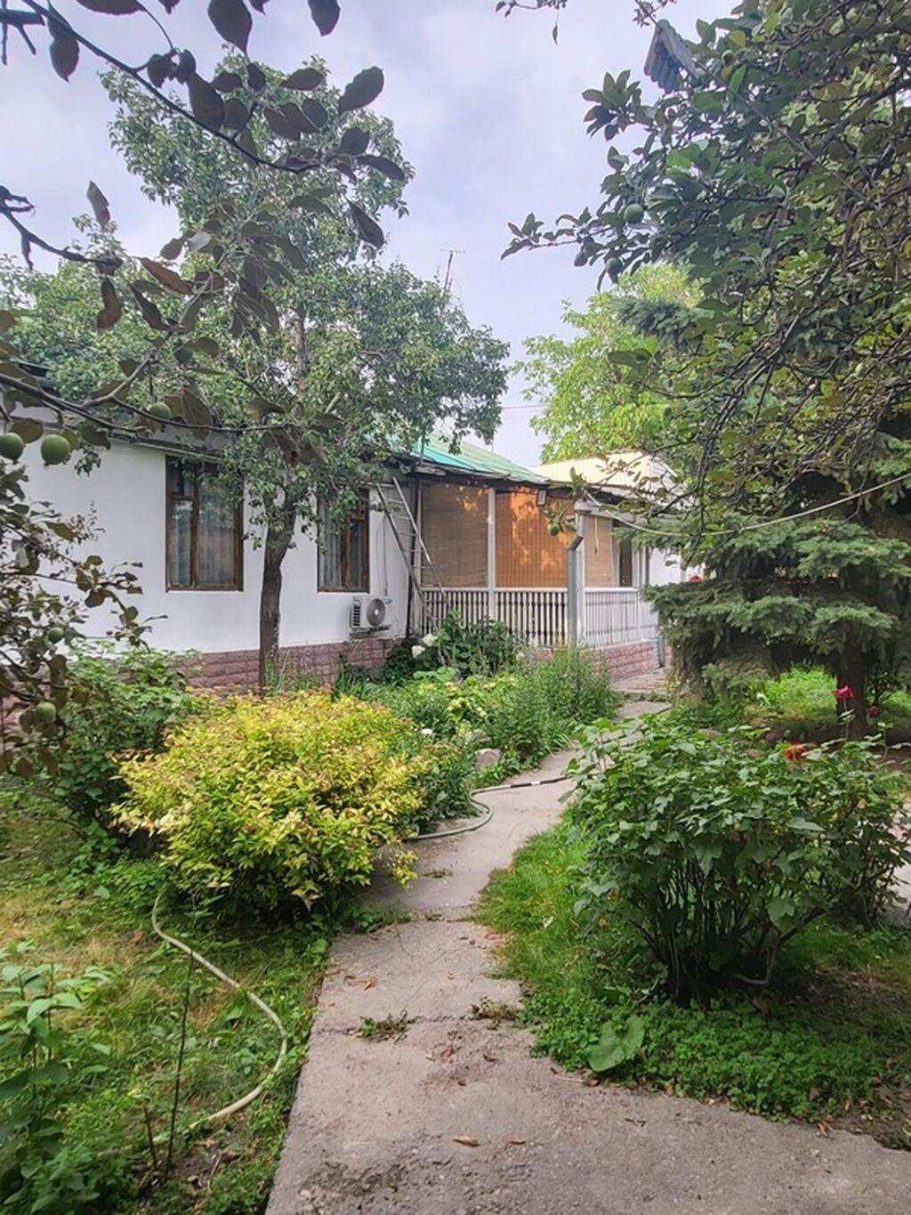 5 соток, Красная книга, Тех паспорт, Договор купли-продажи: фото 3