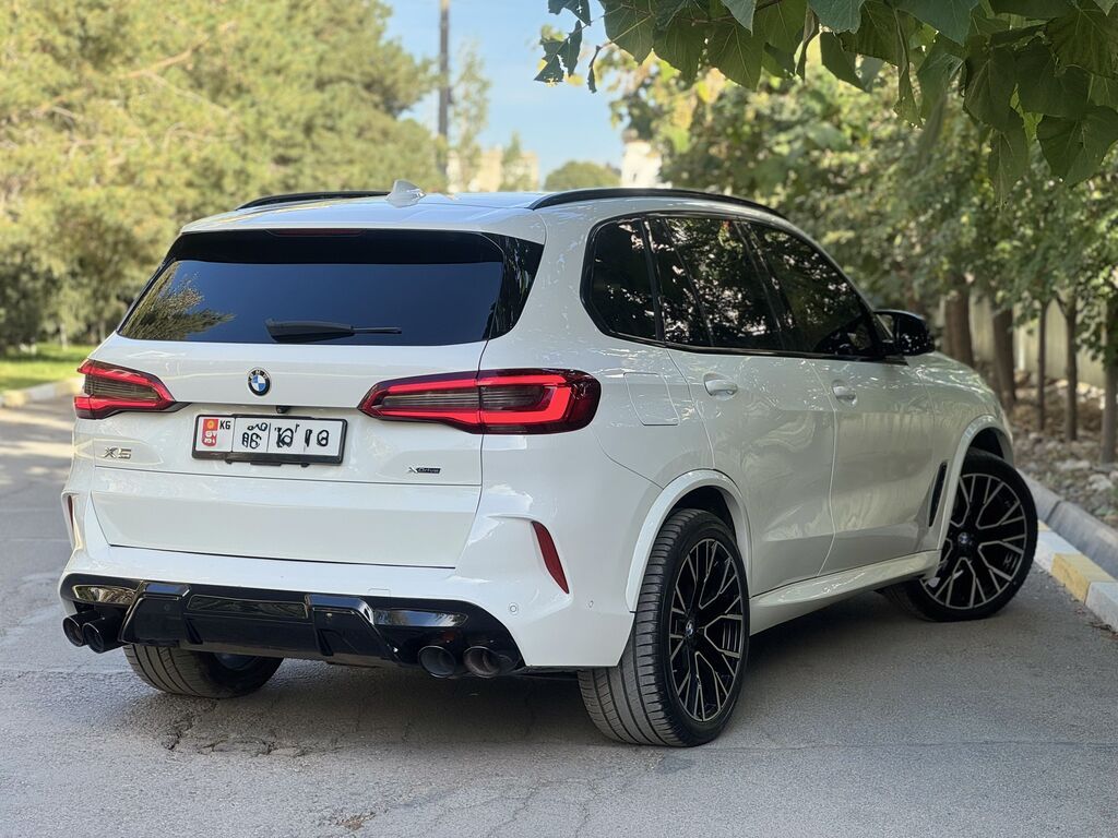 BMW X5: 2019 г., 3 л, Автомат, Бензин, Кроссовер: фото 5