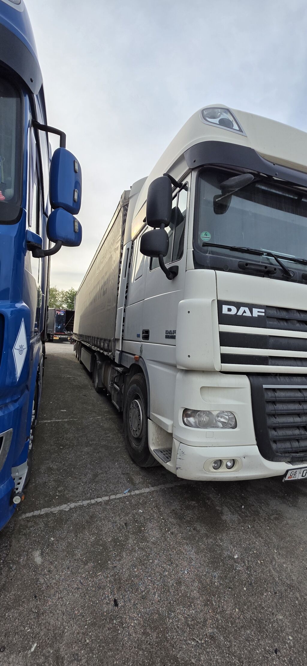 DAF XF 105.460 2013 Автомат ретарда ЦЕНА ТОЛЬКО ЗА ТЯГАЧ!: фото 2