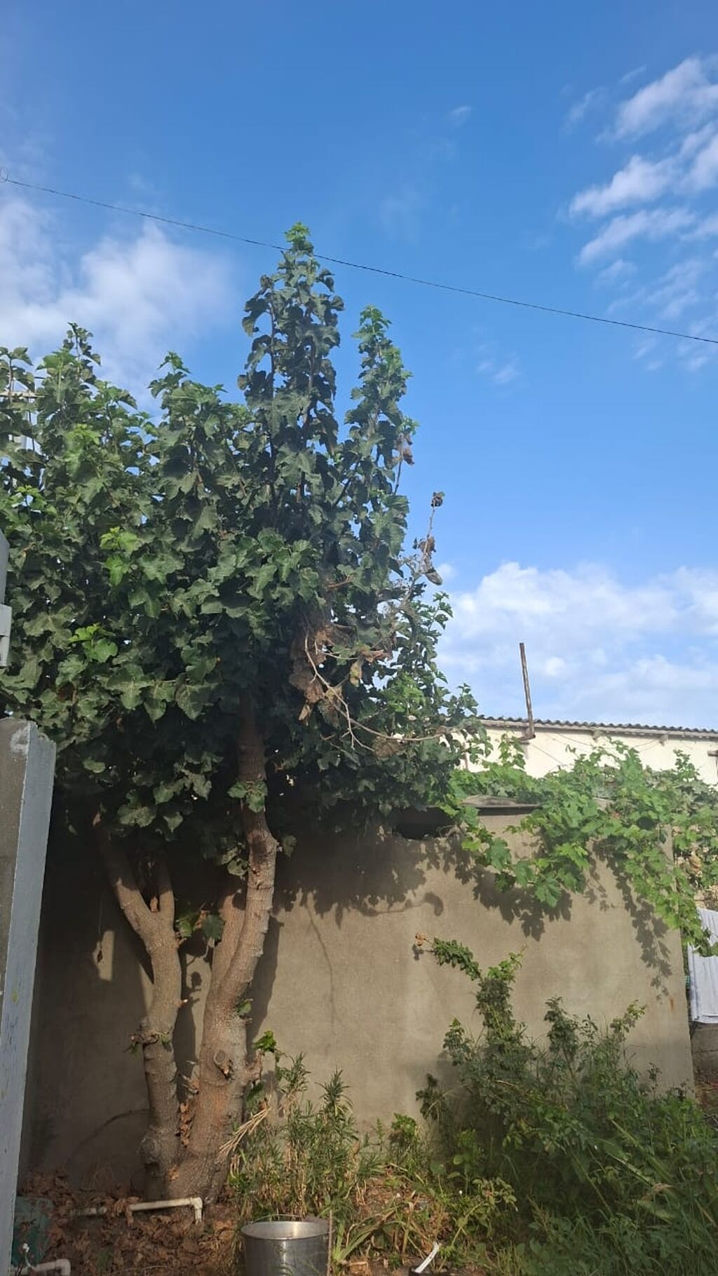 4 otaqlı, 100 kv. m, Kredit yoxdur, Təmirsiz
