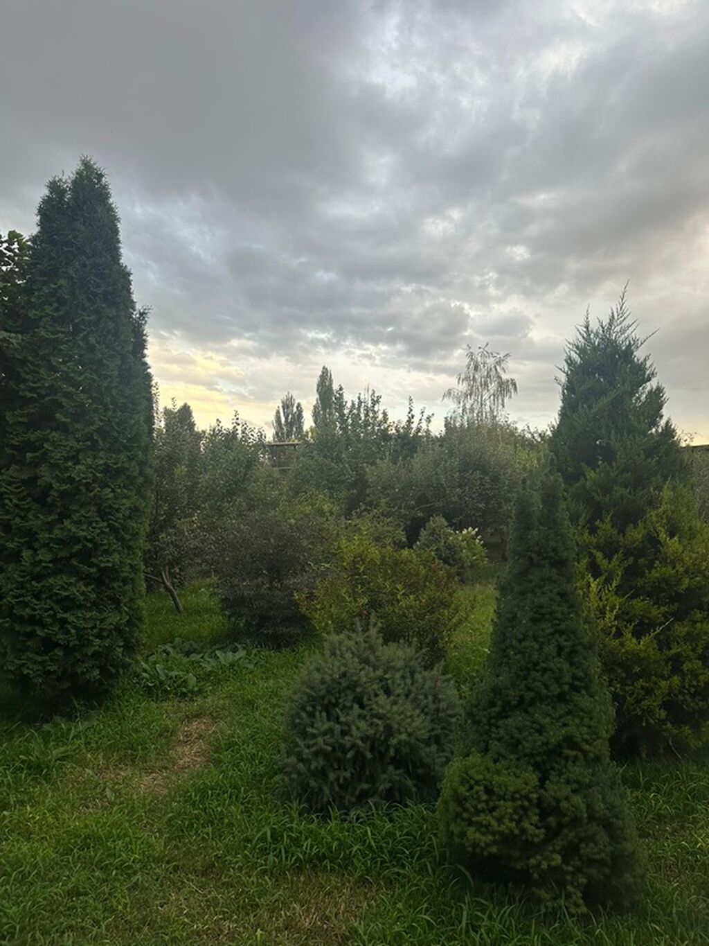 4 комнаты, 20 м², 20 соток, Бишкек, Аламудун с. Собственник: фото 3