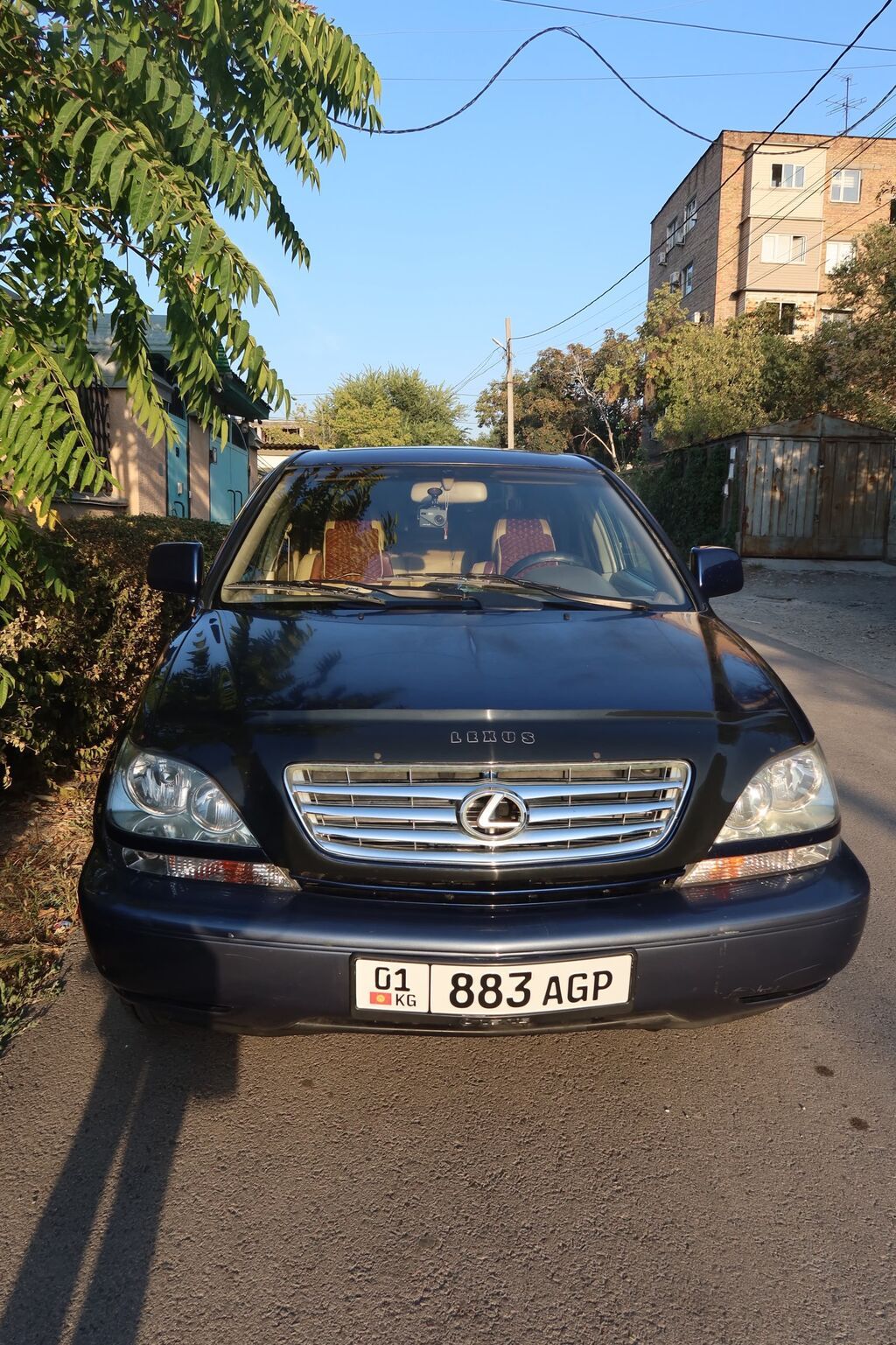 Lexus RX: 2001 г., 3 л, Автомат, Бензин, Кроссовер: фото 7