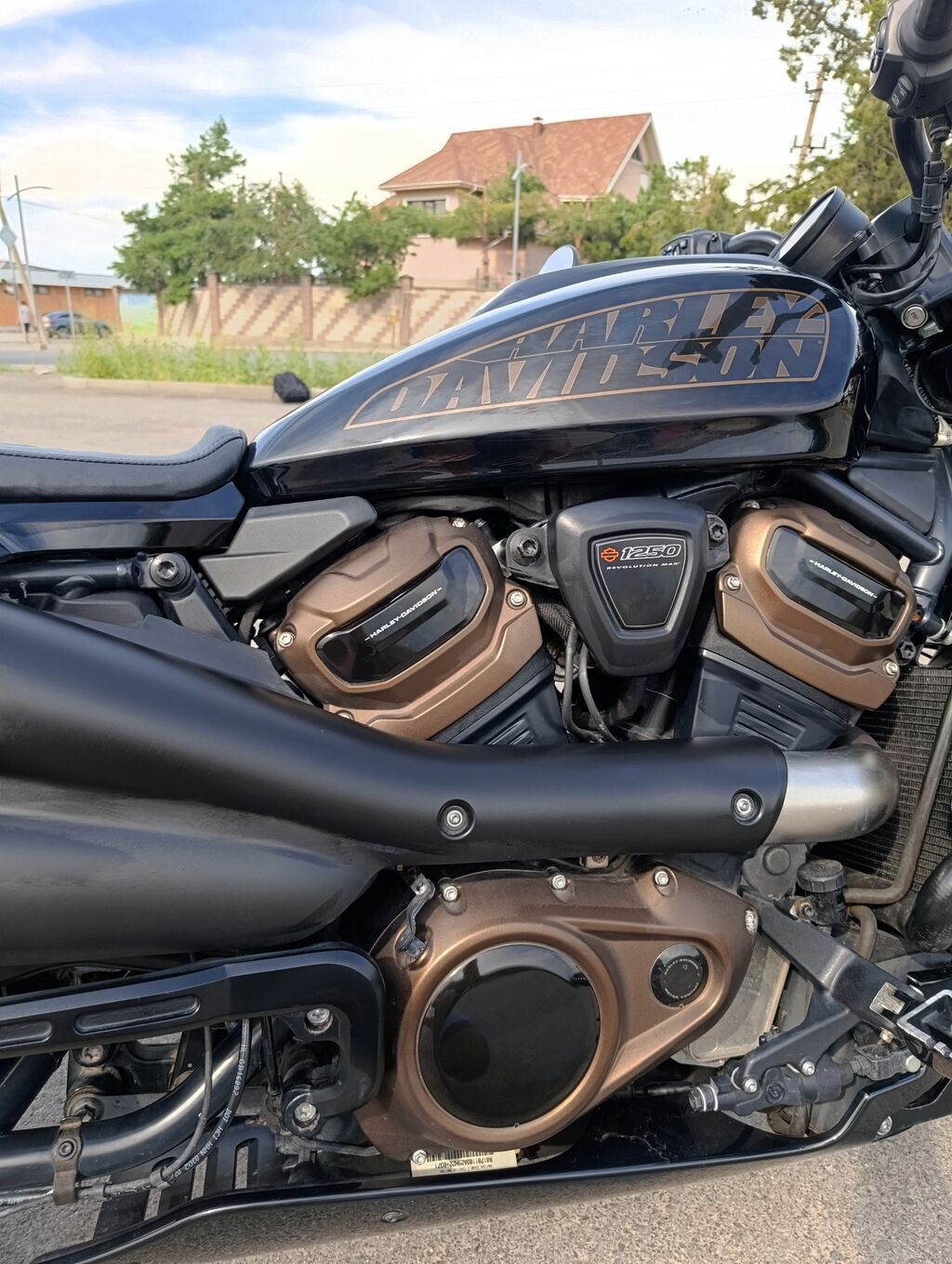 G-Class есть у многих. Sportster S — только у одного. HARLEY-DAVIDSON: фото 3