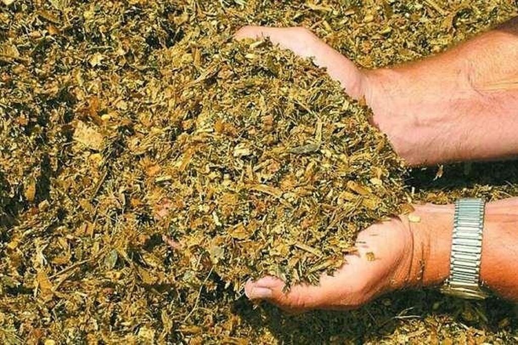 Травы для сенажа. Рыбный силос. Гранулированный комбикорм. Gsi зернохранилища. Силос зерновой 3000 кубов.