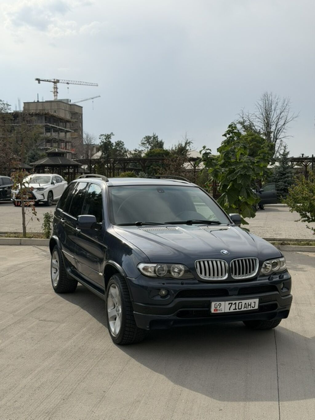 BMW X5: 2004 г., 4.4 л, Автомат, Бензин, Кроссовер: фото 4