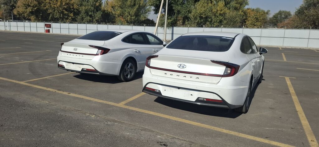 Hyundai Sonata: 2020 г., 2 л, Автомат, Газ, Седан: фото 3