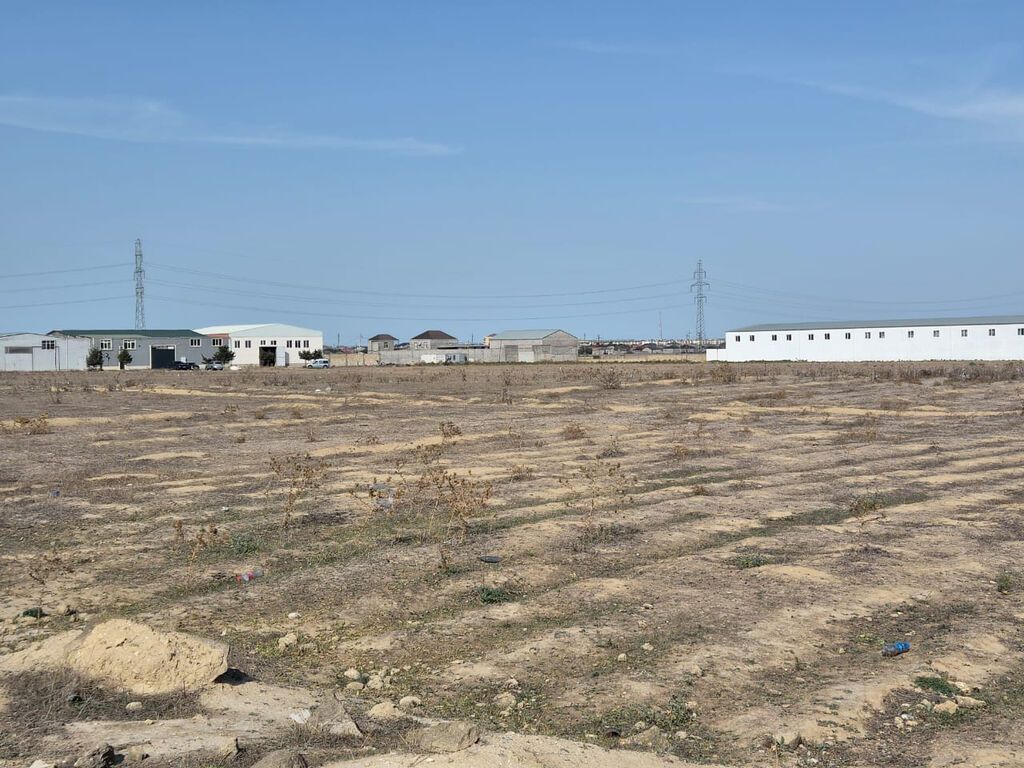 50 sot, Kənd təsərrüfatı, Mülkiyyətçi, Kupça (Çıxarış)