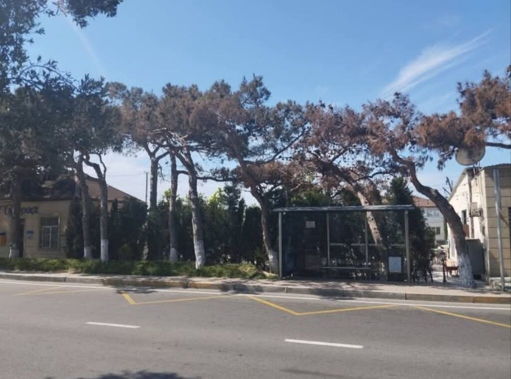 Satılır, 1 otaqlı mənzil Bülbülənin girəcəyində, aeroport yolunda 1
