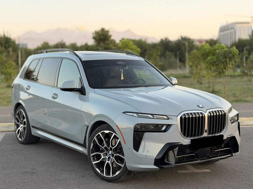 BMW X7: 2023 г., 3 л: фото 3
