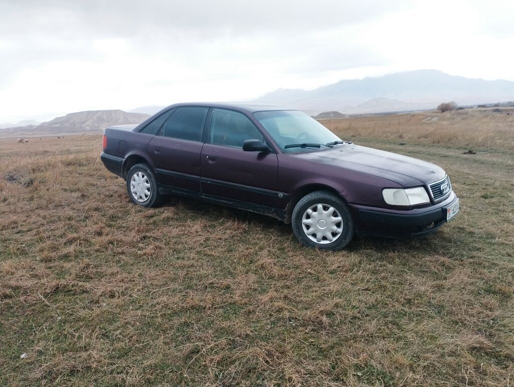 Audi 100: 1992 г., 2.3 л, Механика, Бензин, Седан: фото 1