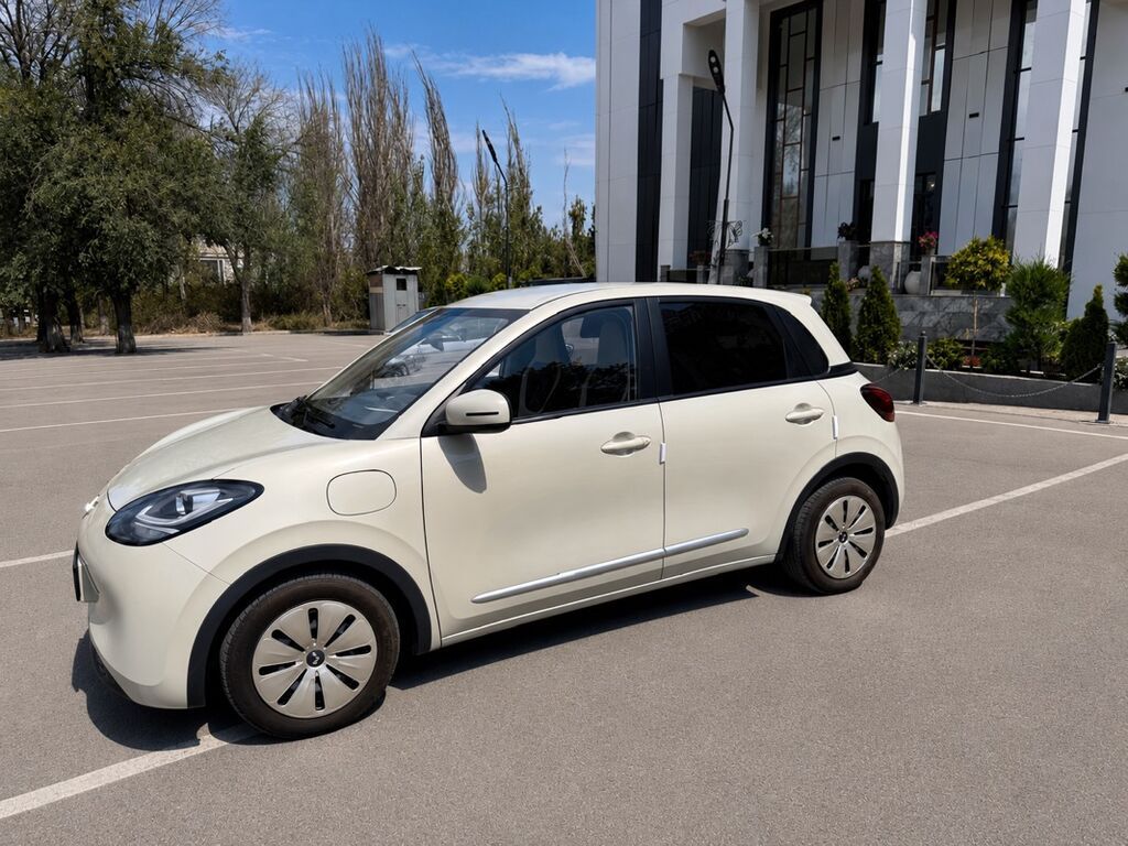 BYD D1: 2023 г., Электромобиль, Хэтчбэк: фото 2