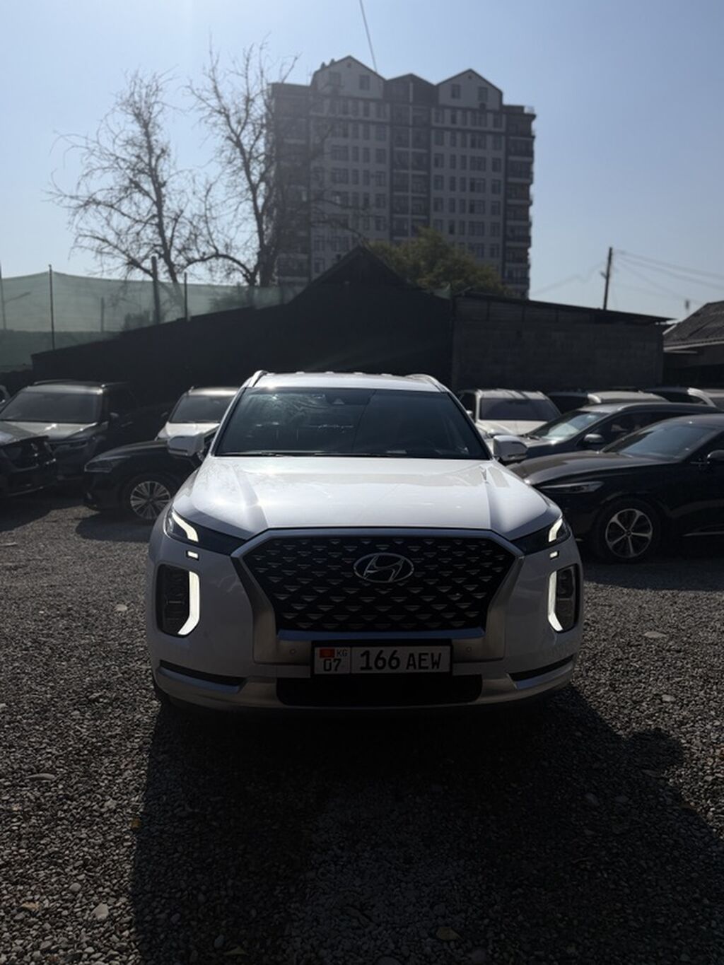 Hyundai Palisade: 2021 г., 2.2 л, Автомат, Дизель, Внедорожник: фото 1