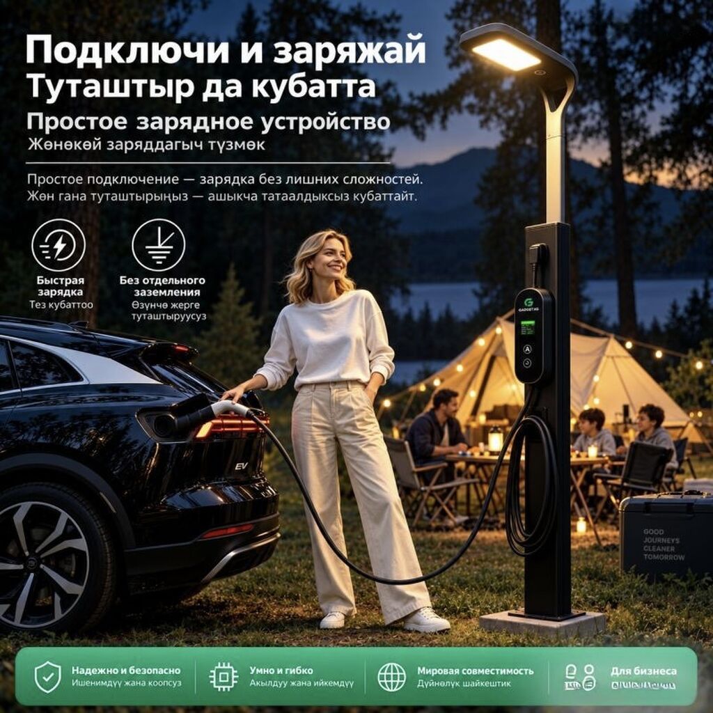Зарядное устройство для китайских электромобилей, сумка в комплекте: фото 4