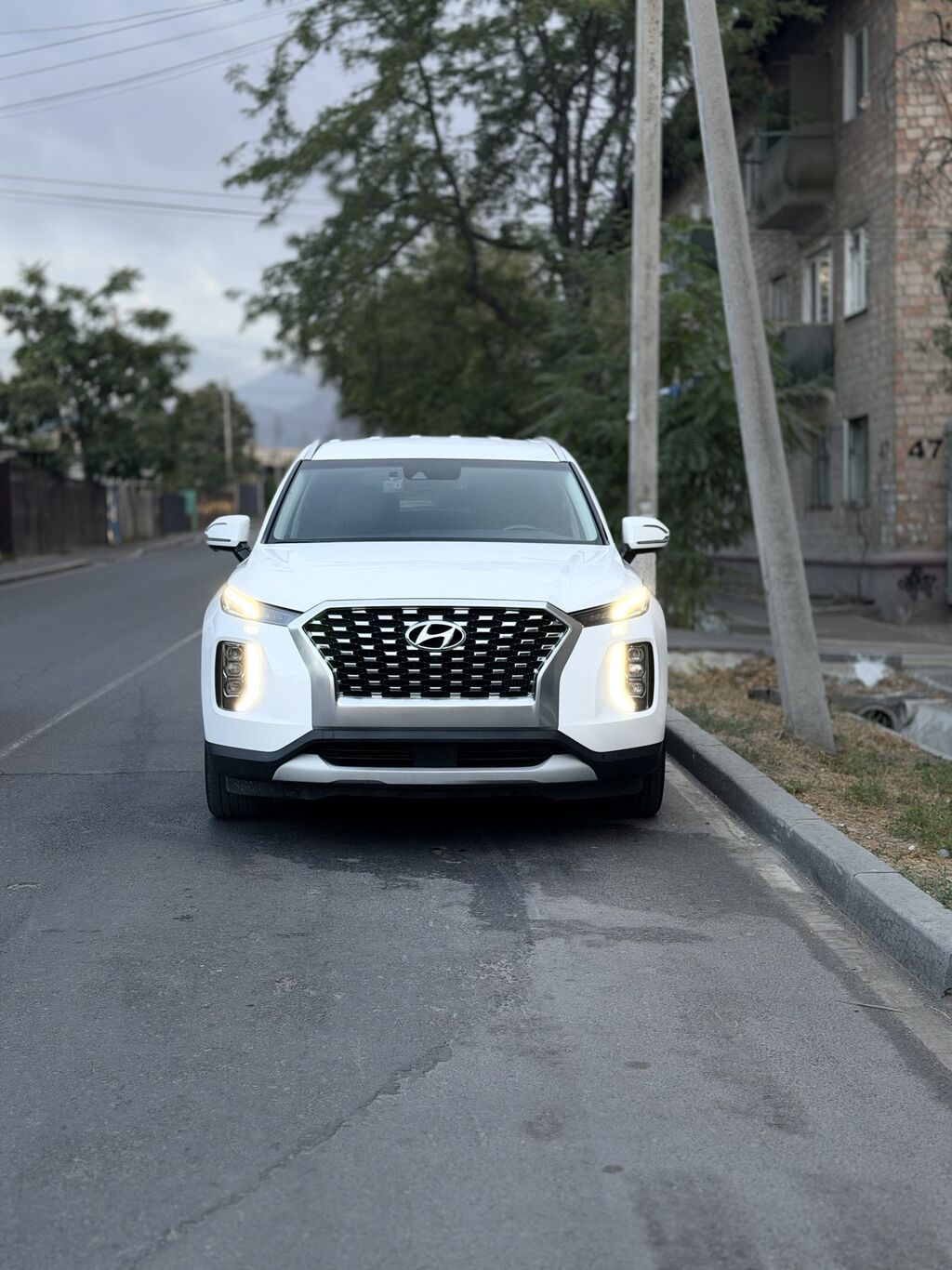 Hyundai Palisade: 2020 г., 2.2 л, Автомат, Дизель, Кроссовер: фото 2