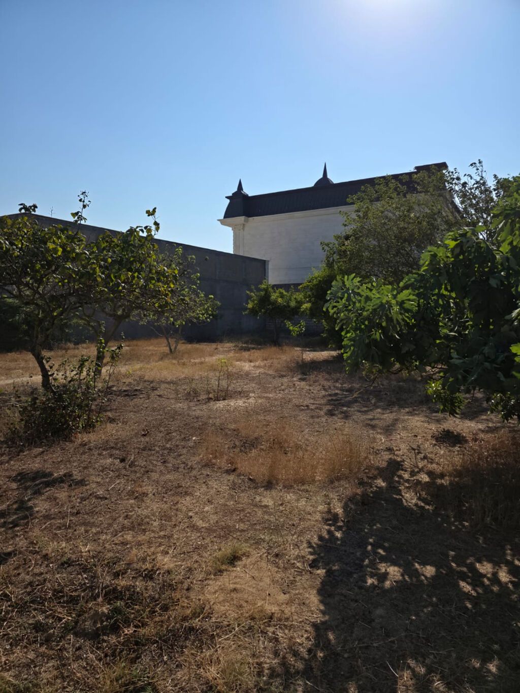 8 sot, Mülkiyyətçi, Kupça (Çıxarış)