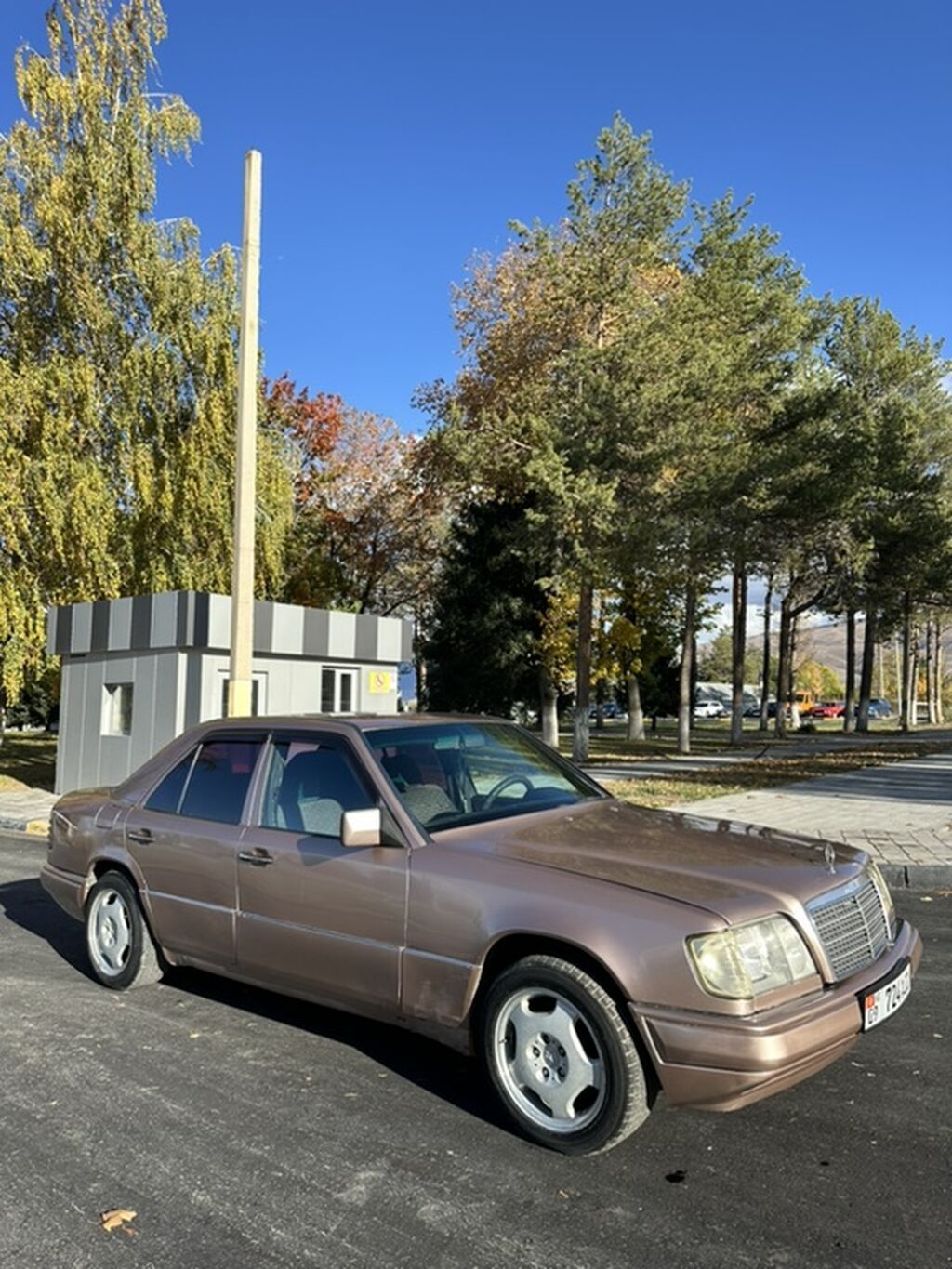 Mercedes-Benz W124: 1993 г., 2.2 л, Автомат, Бензин, Седан: фото 3
