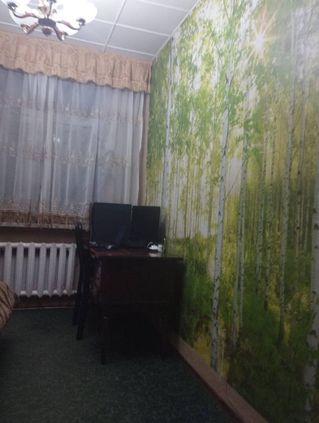 100 м², 4 комнаты, 1000 мелочей (Карпинка): фото 8