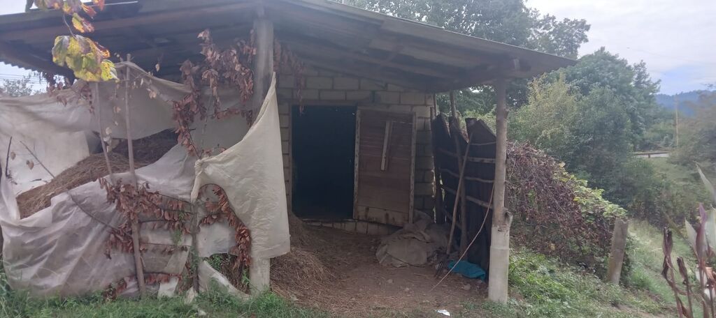 3 otaqlı, 100 kv. m, Kredit yoxdur, Orta təmir