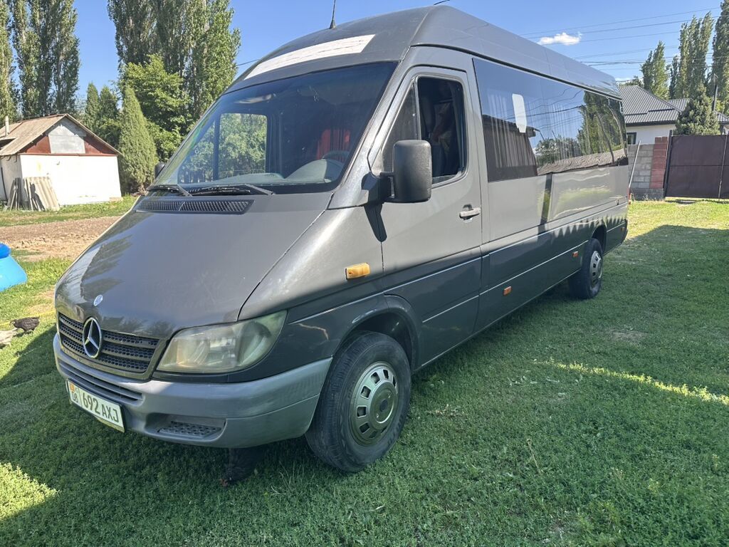 Mercedes-Benz Спринтер: 2005 г., Бус: фото 1