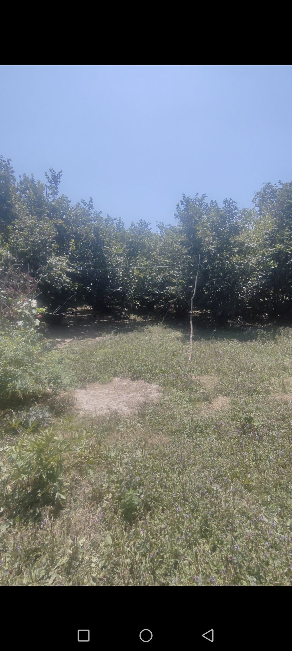 11 sot, Tikinti, Barter mümkündür, Kupça (Çıxarış)