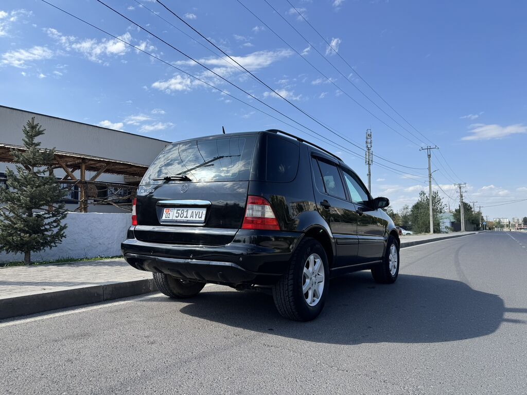 Mercedes-Benz M-Class: 2004 г., 3.7 л, Автомат, Газ, Внедорожник: фото 7