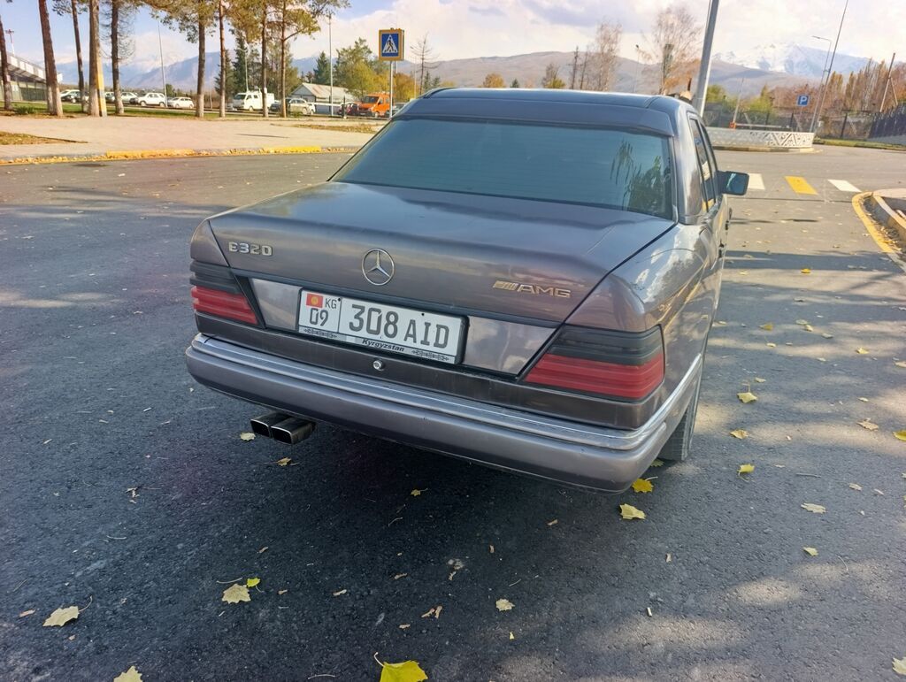 Mercedes-Benz W124: 1993 г., 3.2 л, Автомат, Бензин, Седан: фото 5